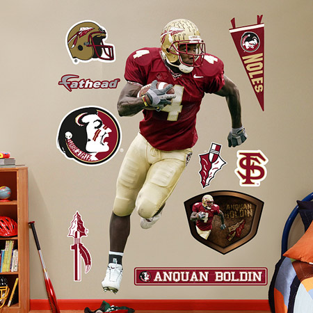 Anquan Boldin