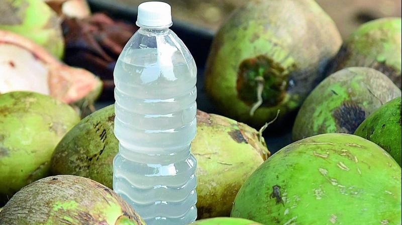 Coconut Water: Safe for drinking