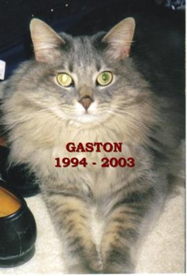 Gaston, RIP